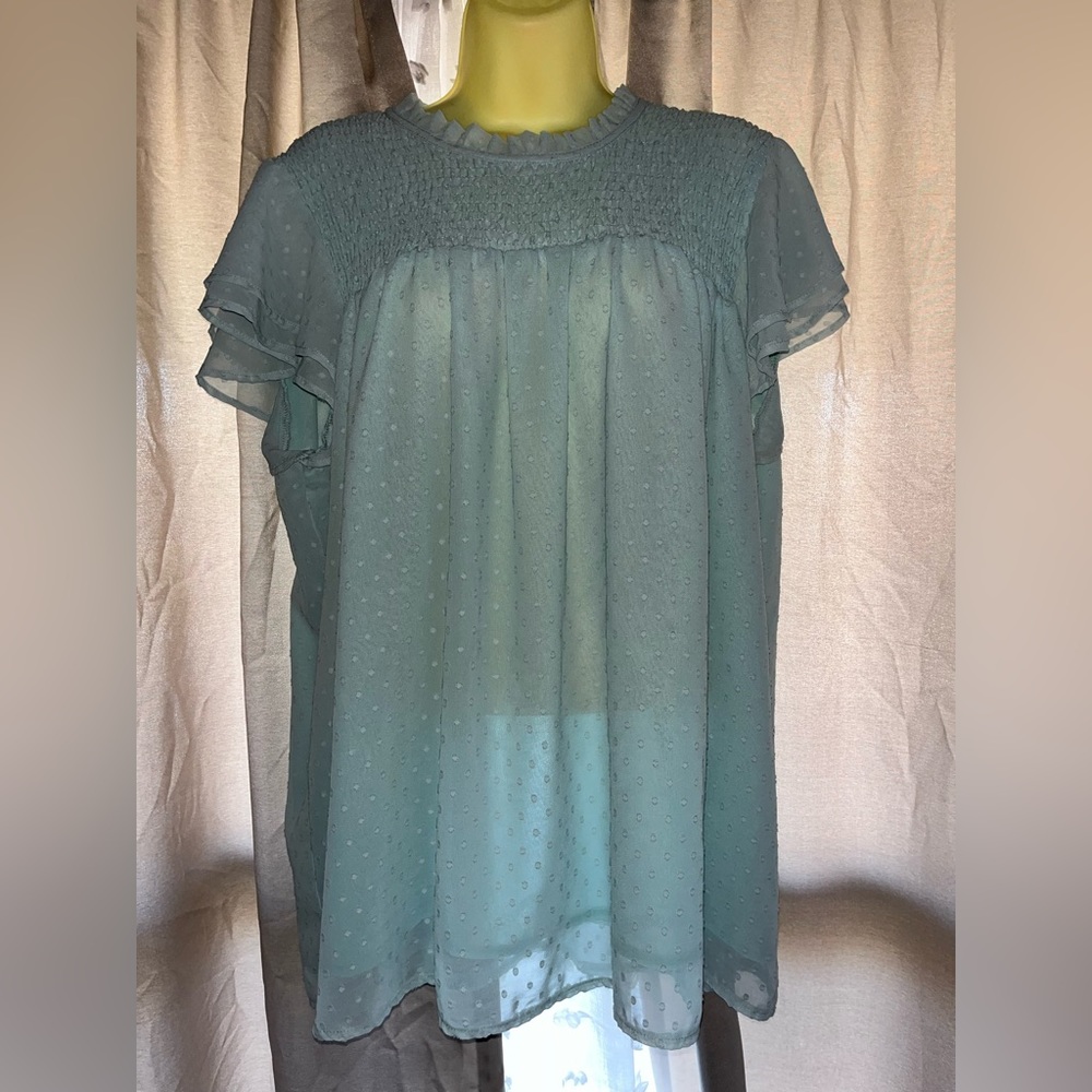 Sheer Baby Blue Top with Ruffle sleeves